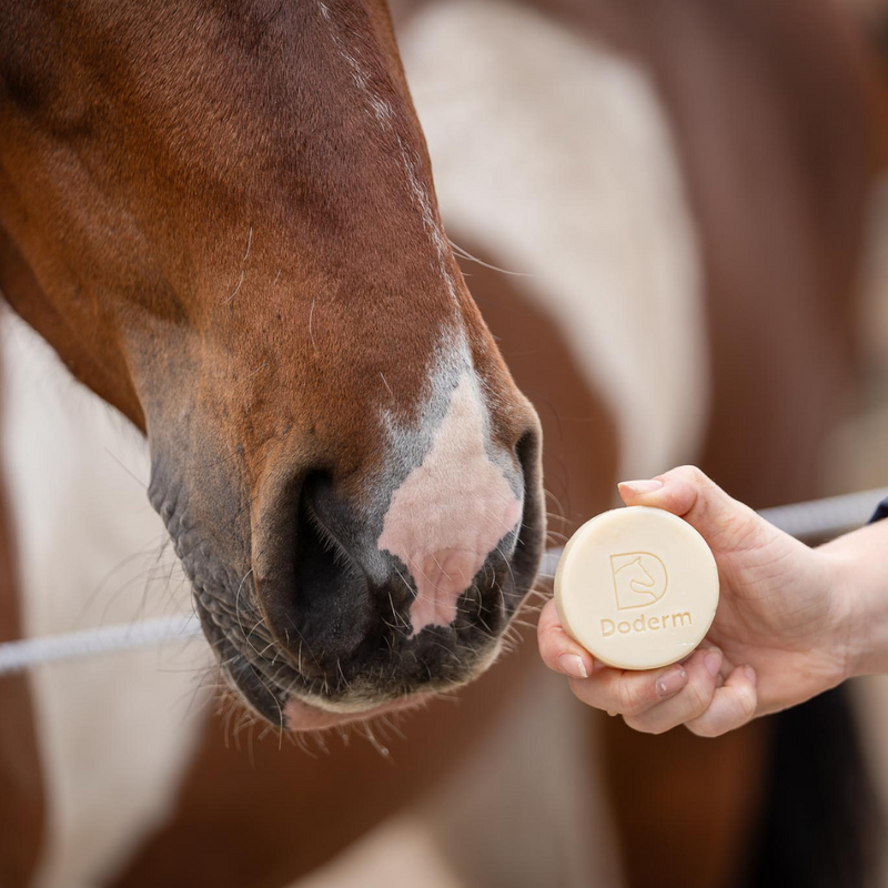 Doderm Alpaca Shampoo Bar Horse